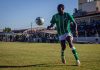 TAÇA:: Onze metros de pura sobrevivência para o Canário e a Locomotiva!